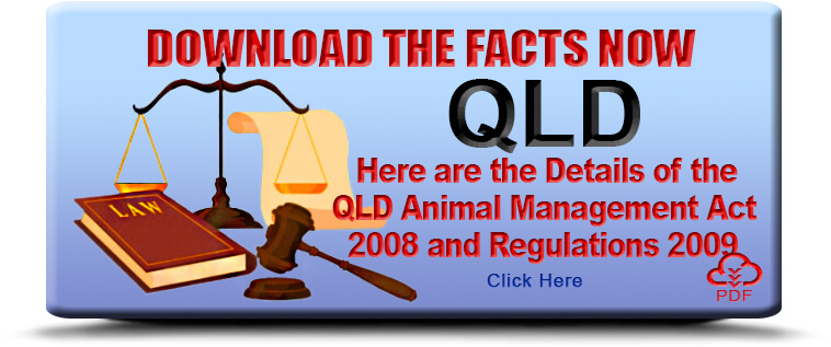 An image with the heading 'Download the Facts Now' and the subheading 'QLD,' referring to Queensland, Australia. Below, the text states, 'Here are the details of the QLD Animal Management Act 2008 and regulations.' On the left side, there is an illustration of a weighing scale, a law book, and a gavel, symbolizing legal information and compliance. At the bottom center, there is a 'Click Here' section prompting users to proceed with downloading the facts about QLD statutes on animal management related to Dangerous Dogs