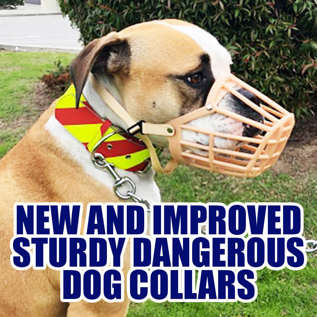 Dangerous Dog Collars