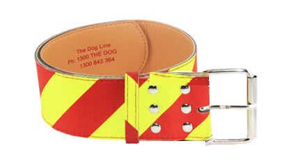 Dangerous Dog Collar #3 for Dogs UNDER 40kg – 40mm Width – Fits Neck 40–55cm