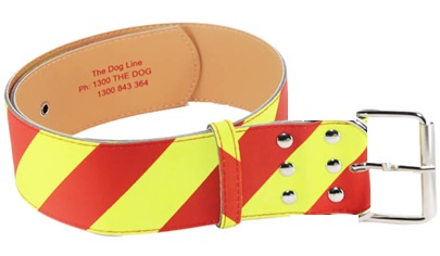 Dangerous Dog Collar # 5 for Dogs OVER 40kg – 50mm Width – Fits Neck 51–72cm
