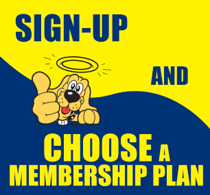 Paid Directory Sign Up
