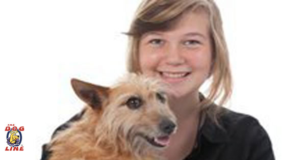 barking dog review