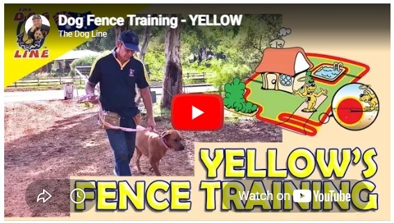 Dog Fence Training - Next Door
