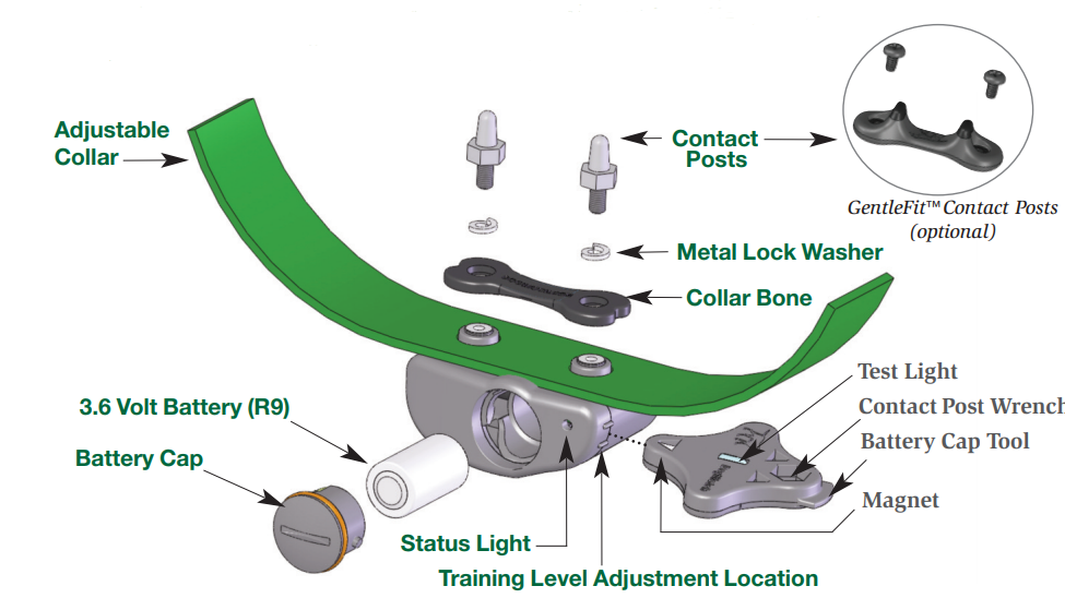 Dog Fence Receiver Collar