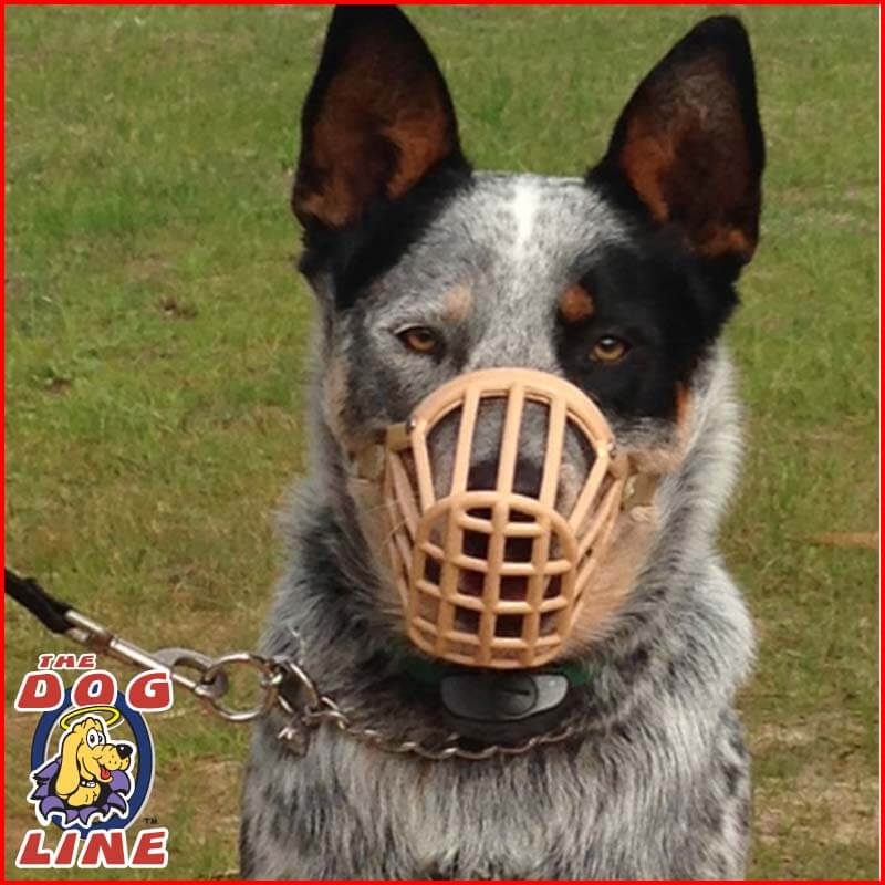 Dangerous Dog Muzzle Plastic Cage