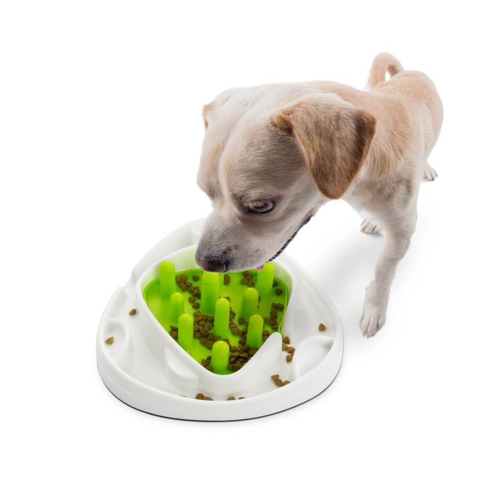 White and beige spotted puppy eating treats from a slow feeder bowl designed for dogs. The slow feeder helps prevent overeating and promotes healthier digestion by encouraging your dog to eat at a slower pace