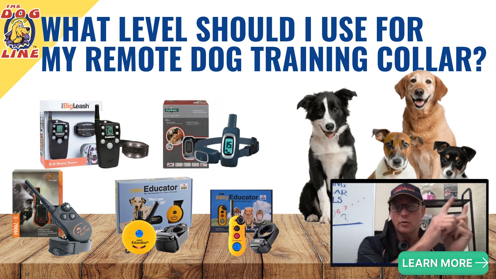What Level To Use on Dog Training Collar