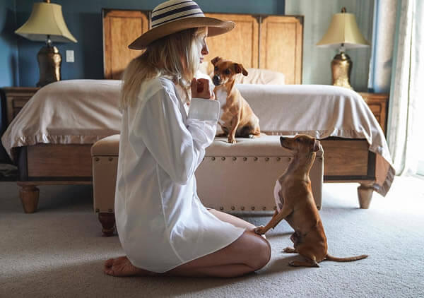 Woman training a dog with rewards in the bedroom