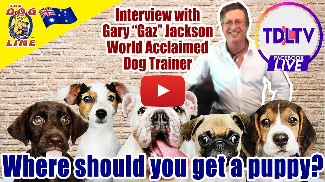 Gaz Jackson Interview