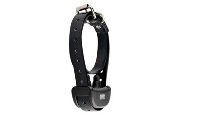 PET919 Remote Dog Trainer - Extra Collar