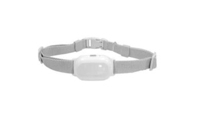 T200 Remote Dog Trainer - Extra Collar