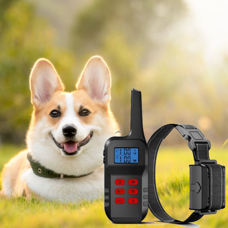 Corgi sales bark collar