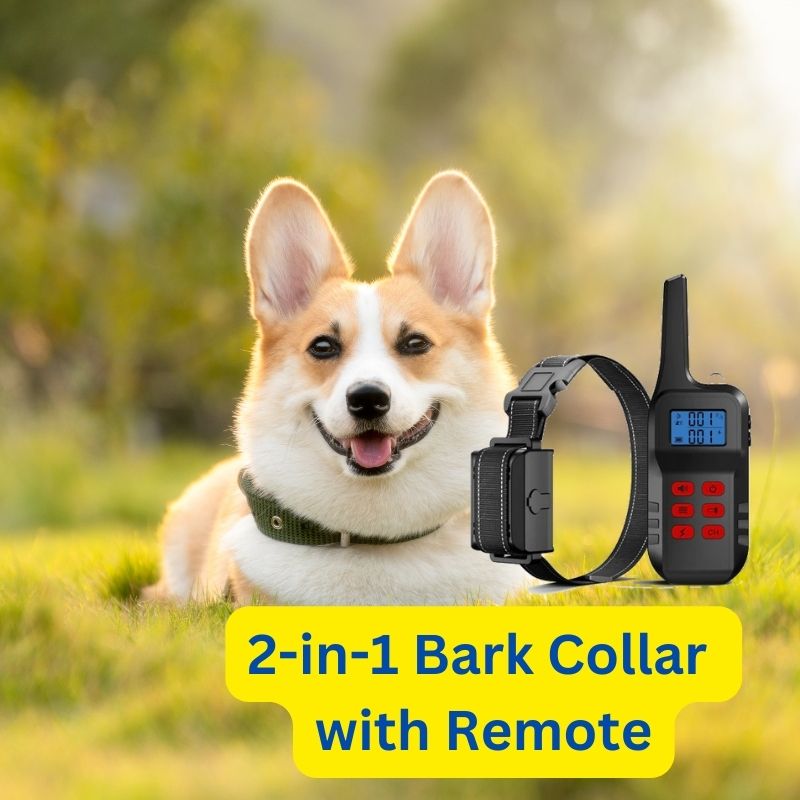 2-in-1-bark-collar-with-remote