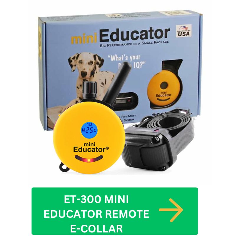 ET-300 MINI EDUCATORÂ® 1/2 MILE REMOTE E-COLLAR