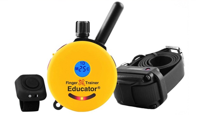 dog zap collar remote