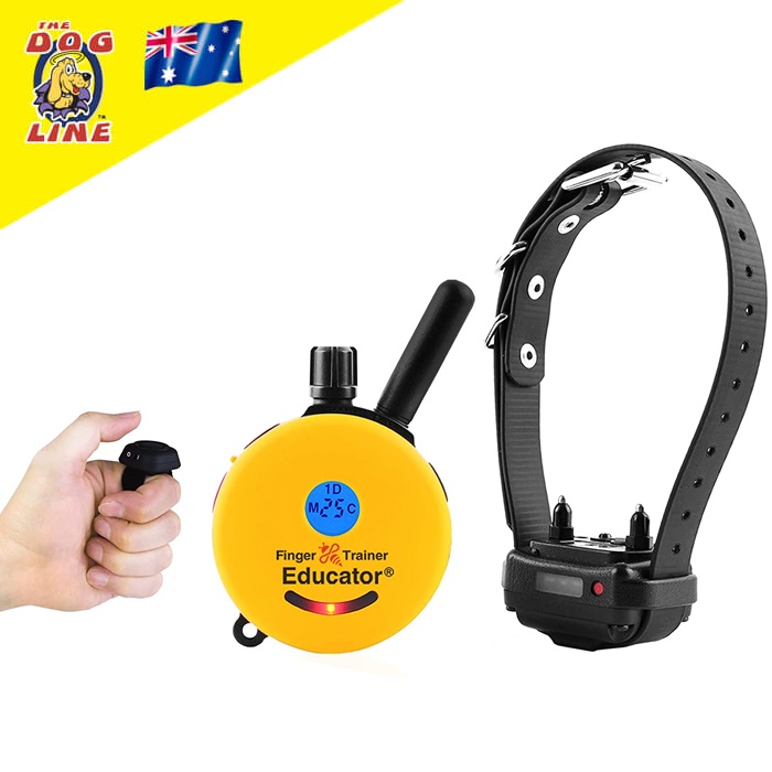 Educator training collar hotsell