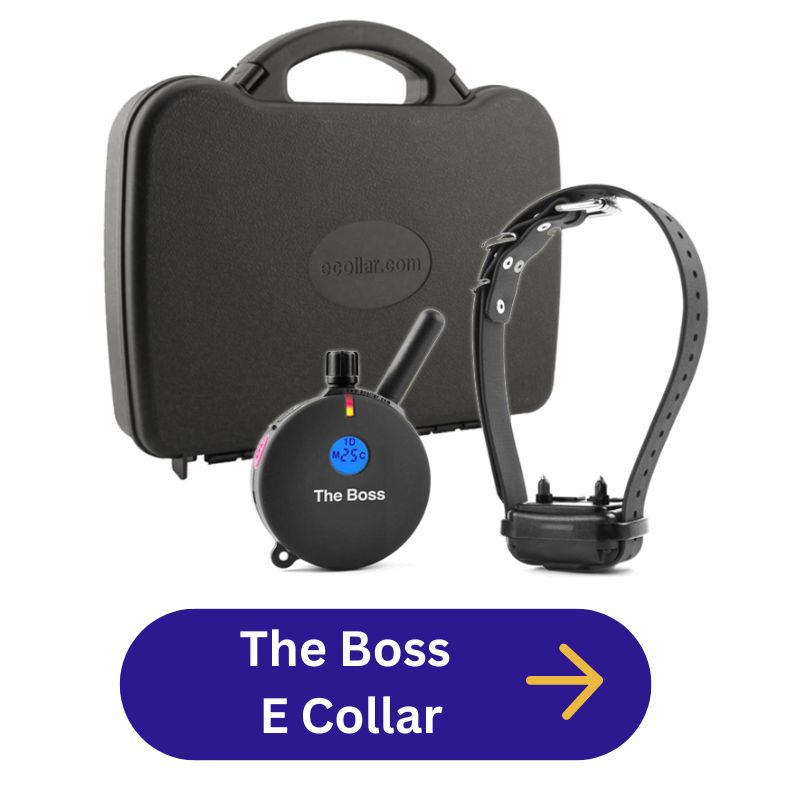 Educator The Boss Remote Training Collar