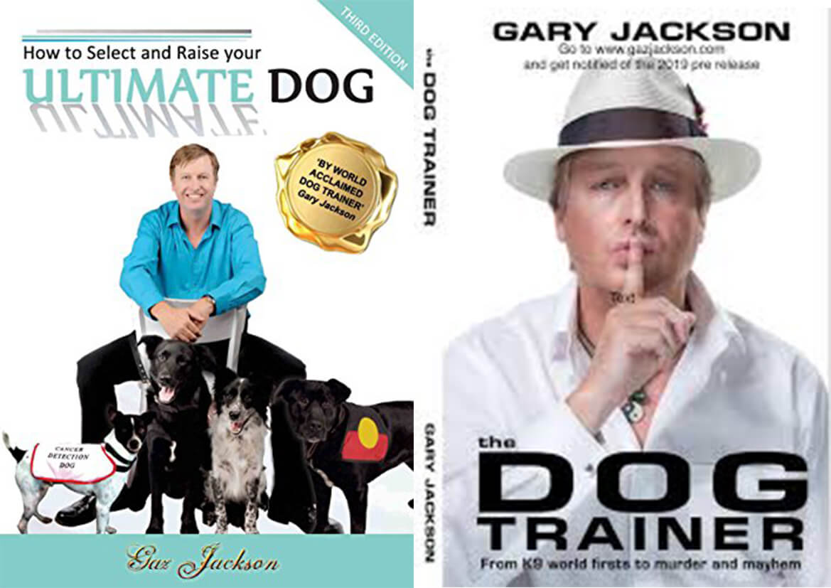 Dog trainer, Gaz Jackson with his dog training class