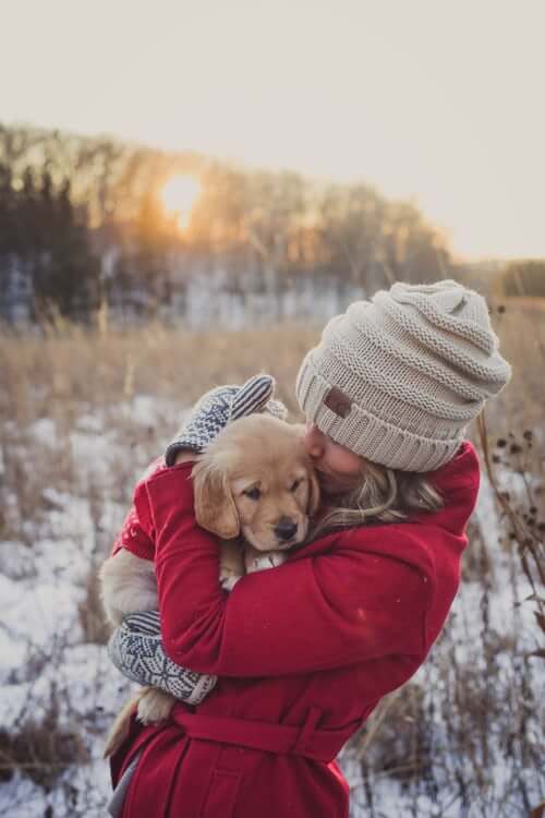 Puppy socialising with human friend