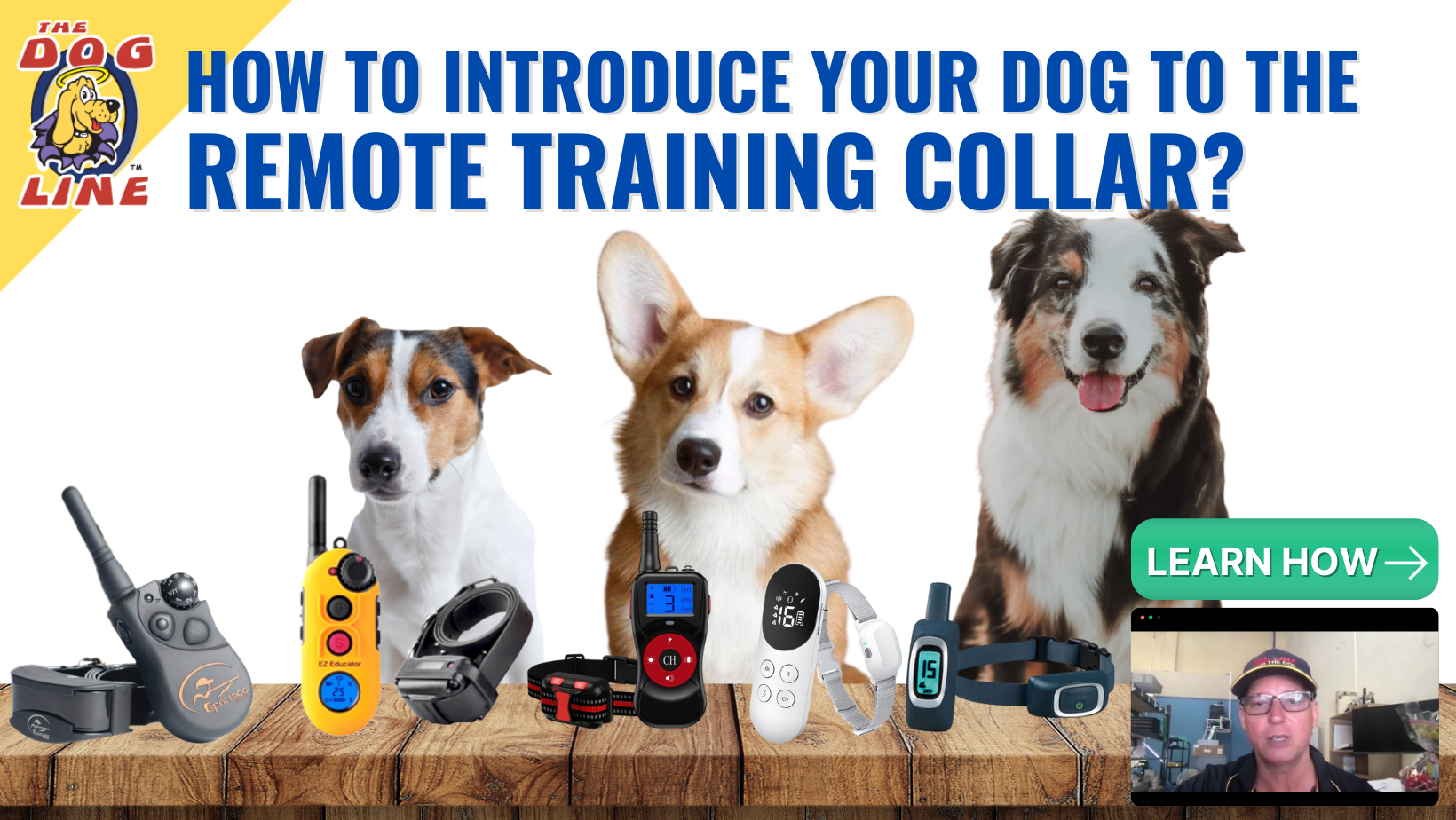 How to Introduce Your Dog To the Remote Training Collar