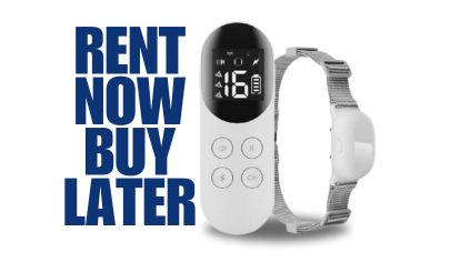 Rent a Remote Training Collar - T200- No Risk and No Interest