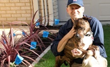 Electric Dog Fence Review