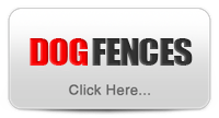 Find the Best Dog Fences Here