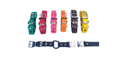 Educator Remote Quick Release Bungee Strap Collar - 3/4 Inch