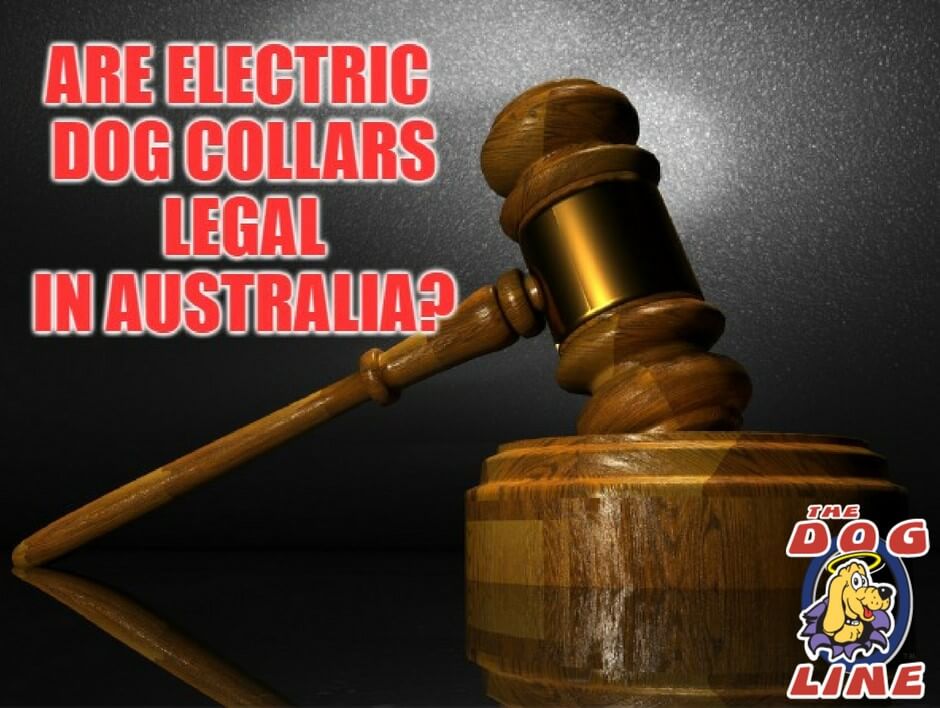 See if Electric Dog Collars are legal in your state - Australia