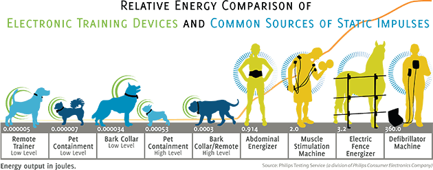 The electrical output of Dog âShockâ collars