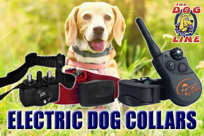Learn more about Electric Dog Collars or Dog âShockâ Collars