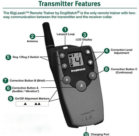 Remote Dog Training Collar