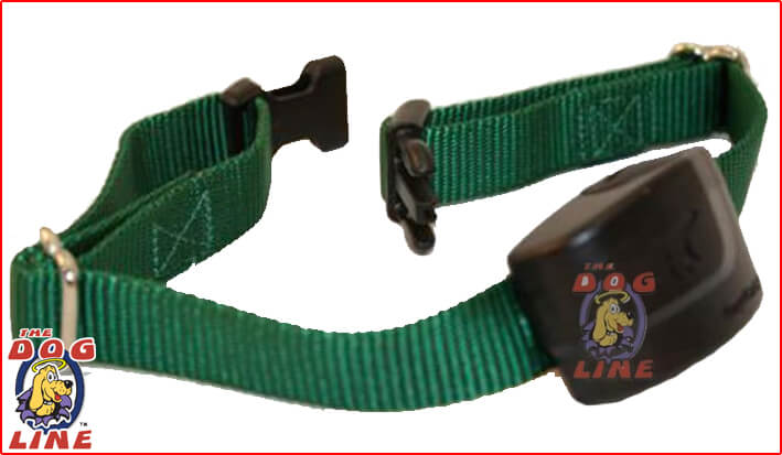 Get a waterproof Electric Dog Fence Collar