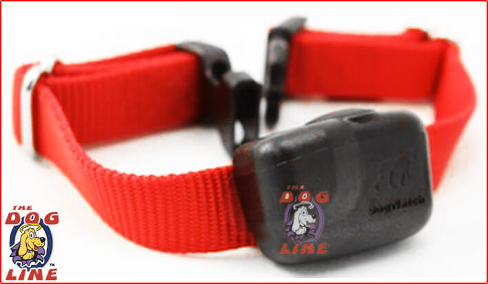 Buy a dog fence collar that has a three-aerial system