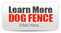 Learn More About Dog Fences