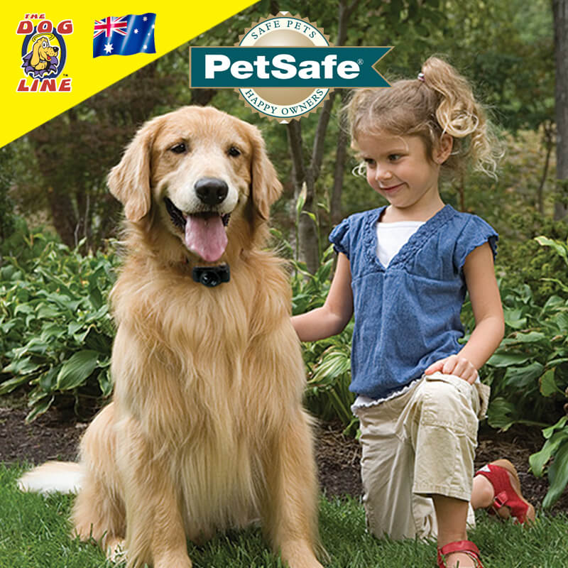 CostEfficient Hidden Fence PetSafe Basic InGround Dog Fence