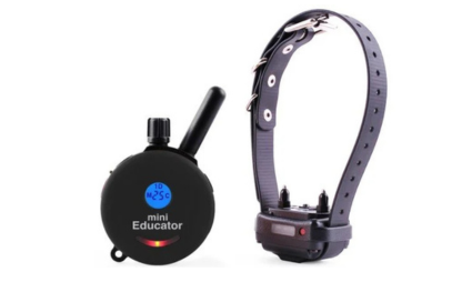 Ecollar ET-300 Mini Educator Remote Dog Training Collar Black Series