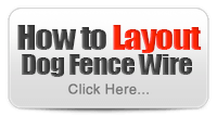 Learn More - How To Layout Dog Fence Wire