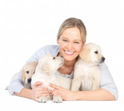 Photo of a smiling woman holding three cream-colored Golden Retriever puppies in her arms. Celebrates the joy of pet companionship and the importance of caring for young dogs, perfect for discussions on puppy training and responsible pet ownership.