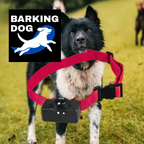 Bark Training Collars