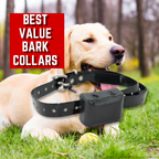 Easy Budget Collars
