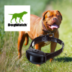 DogWatch