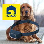 PetSafe