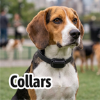 Collars