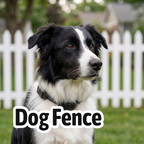 Fences