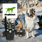 DogWatch