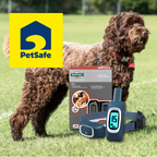 PetSafe