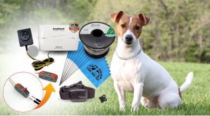 Standard  Dogwatch FM1200 DIY Hidden Fence R12 Mini - for Small Dogs