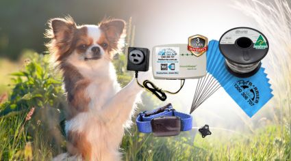 Pet Barrier R12 Mini Electric Dog Fence For Small Dogs