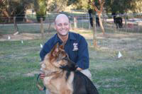 training dogs with radio dog fences